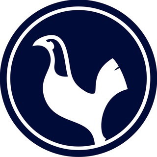 Логотип @fctottenham_hotspur - Тоттенхэм Хотспур