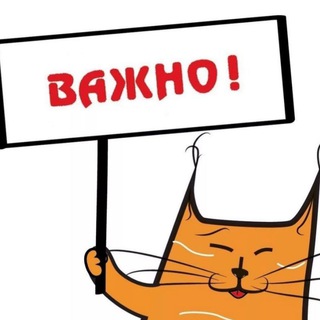 Логотип @fd_shop01 - Fdshop обсуждения