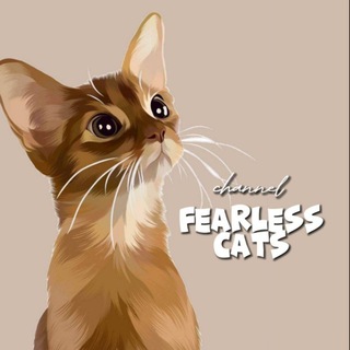 Логотип @fearlesscatss - бесстрашные котикиᶜʰᵃᶰᶰᵉᶫ🐈‍⬛️