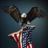 Логотип @fearlessreport - Fearless Report