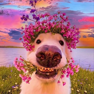 Логотип @feazoxn - rotten lyrick