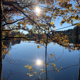 Логотип @federleichtxxx - federLeICHT🪶🌎🕊️