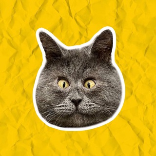 Логотип @fedja_kot - fedja_kot