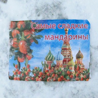 Логотип @fedyocheknikudaneyedet - "курьер был явно нетрезв"