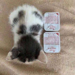 Логотип @feelchilly - 🧿