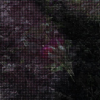 Логотип @feelingsinc - Feelings