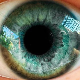 Логотип @feelmaria - Maria Feel