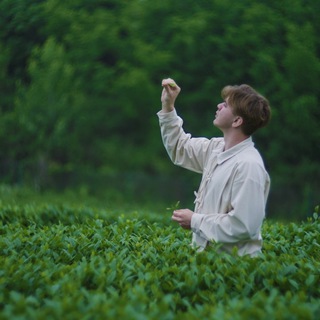 Логотип @feelteafeeltea - Чайный друг - 茶友