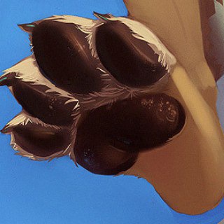 Логотип @feetpaws - Feetpaws