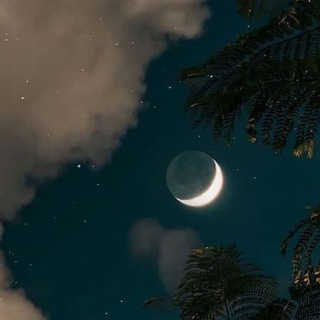 Логотип @feilvbinliaotianba - 东南亚聊吧