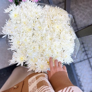 Логотип @feliceamn - FELICE