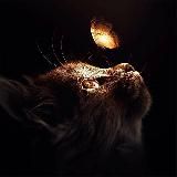 Логотип @felixanima - Путь Духовности