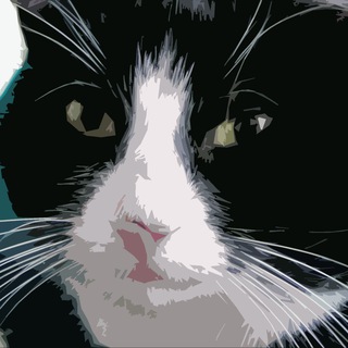 Логотип @felixeylie - Писатель Феликс Эйли