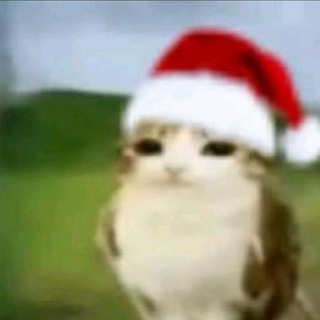 Логотип @femboycentral - FEMBOi CENTRAL (elmo was a mistake)