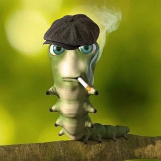 Логотип @feofilovgay - редсигнал