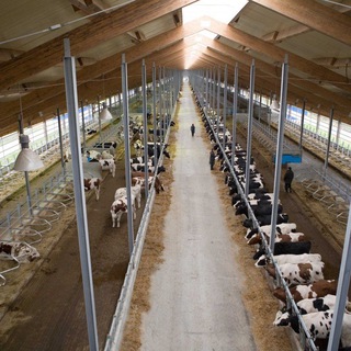 Логотип @fermachert - Ферма чертежи