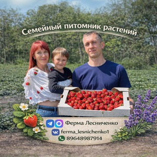 Логотип @fermales - Ферма Лесниченко 🍓Выращивание клубники, саженцы 🌱