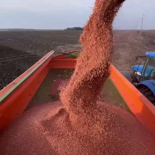 Логотип @fermeratroshenko - Фермер Атрощенко🌻🌻🌻