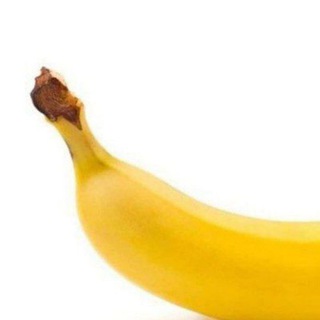 Логотип @fes_myau - фзхйххйх