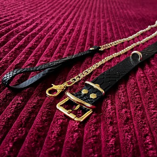 Логотип @fetishista - FetishIsta #УкрТґ