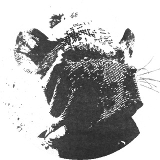 Логотип @ffchwstreetart - FFCHW.STREETART