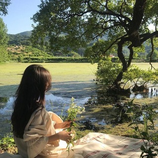 Логотип @ffilier - ⁺𝗳𝗳𝗶𝗹𝗶𝗲𝗿⁺⊹🦎