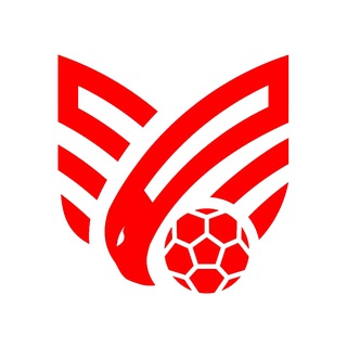 Логотип @ffrk08 - Федерация футбола Республики Калмыкия