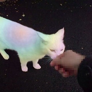 Логотип @fgsfds101 - /dev/null