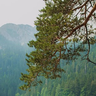 Логотип @fhfjfnfkf - ꒰ ୧ 🌱 Ꭹᴏu drᴇᴀʍs ୨ ꒱