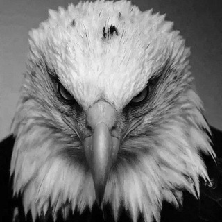 Логотип @fhujkik - B A Z A K A I F A 🫦