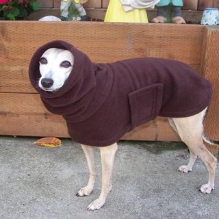 Логотип @fibi_pishet - Графомания и цинизм