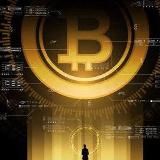 Логотип @fibostatcourses_officiall - FibostatCourses NEW Бесплатные курсы Fibostat Courses