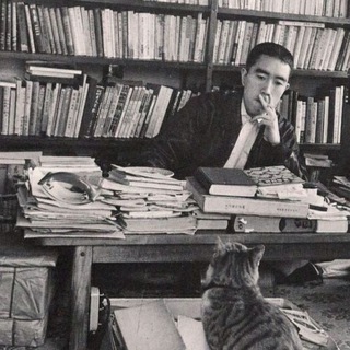 Логотип @fictiondealer - Выдумник.