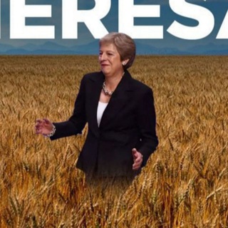 Логотип @fields_of_wheat - Пшеничные поля Терезы Мэй