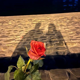 Логотип @filfaak - Filfak