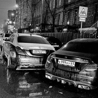 Логотип @filforest - FILFOREST️