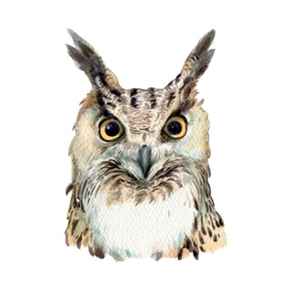 Логотип @filin_varvara - Филин Варя