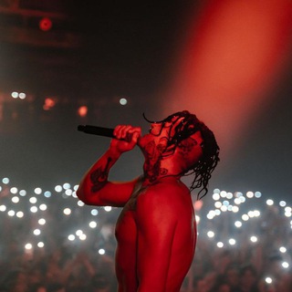 Логотип @fillintt - fillin.edit🦉