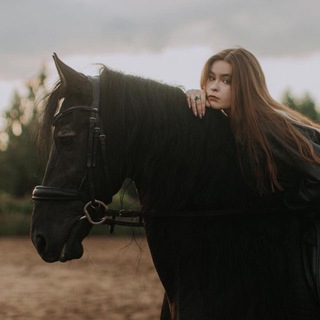 Логотип @film_sunset - Фильмы от Сансета