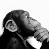 Логотип @filo_sofando - FILOSOFANDO