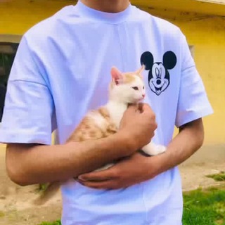 Логотип @filosofskie1 - ᴬᴷ ོ