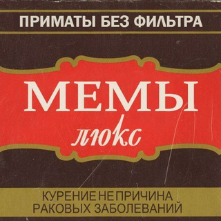 Логотип @filtern_t - ✙Примати без фільтру✙