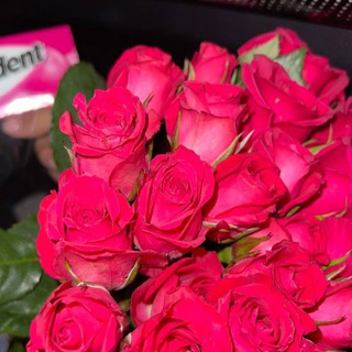 Логотип @fimanemmm - 𝓓𝓲𝓵𝓷𝓾𝓻𝓪𝓼𝓼𝓼💗