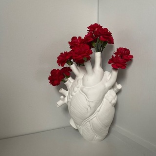 Логотип @fimiblog - FiMi Blog 💛