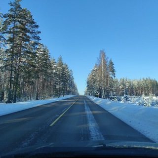 Логотип @fimigrant - Фимигрант