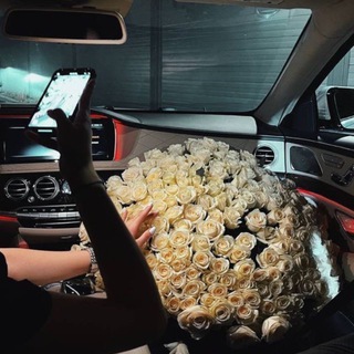 Логотип @finchsdiary - finch’s diary