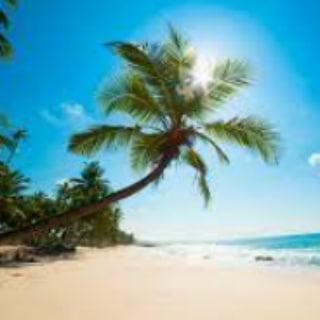 Логотип @findcheaptrip - Дешёвые и горящие туры из Москвы и Санкт-Петербурга🕵️‍♂️