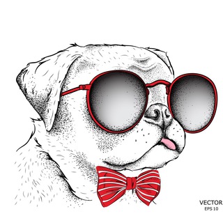 Логотип @finderchat - Чат удалёнщиков