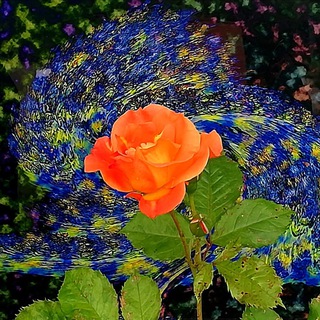 Логотип @findtheatre - Найди свой театр