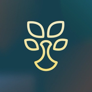 Логотип @finlituzb - Finlit.uz - moliyaviy savodxonlik